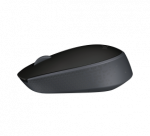 Logitech M171 Belaidė pelė RF Wireless, 1000 DPI, Black/Grey