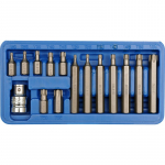 Antgalių rinkinys, Torx, T20-T55, 15vnt.