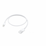 USB lightning kabelis / įkroviklis - 25cm