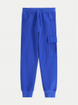 Coccodrillo Sportinės kelnės WC5120102VBA Mėlyna Regular Fit