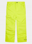 Columbia Outdoor kelnės Bugaboo&trade; II Pant Geltona Regular Fit S
