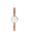 Daniel Wellington Laikrodis DW00100744 Auksinė