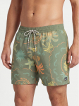Billabong Plaukimo &scaron;ortai EBYJV00159 Žalia Regular Fit L