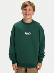 Quiksilver Džemperis Salt Water Graphic EQBFT03960 Žalia Regular Fit