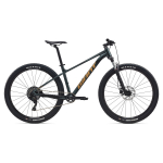 GIANT Talon 2 29 // 9G, dydis 18 (45 cm) (tamsiai žalia - Asphalt Green)