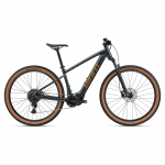 Elektrinis dviratis GIANT Talon E+ (2026) 29 Asfalto žalia