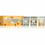 Baobab Collection My First Baobab Orange dovanų rinkinys 1 vnt.
