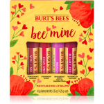 Burt&rsquo;s Bees Bee Mine lūpų dažai su bičių va&scaron;ku kvapas Pomegranate, Strawberry, Dragonfruit Lemon, Watermelon 4x4.25 g