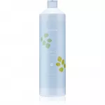 Echosline Balance Shampoo valomasis &scaron;ampūnas nuo pleiskanų 1000 ml