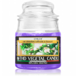 THD Italian Luxury Chloe kvapioji žvakė 100 g