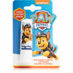Nickelodeon Paw Patrol Lip Balm lūpų balzamas bra&scaron;kių skonio 4 g