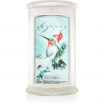 Kringle Candle Snowbird kvapioji žvakė 624 g