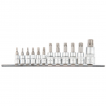 Antgaliai su galvute Torx  ir ertme T10-T40, 1/4 14 vnt