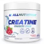 ALLNUTRITION Creatine Muscle Max 250g
