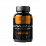 Vitalharmony gliukozaminas + msm + chondroitinas, 90 kapsulių