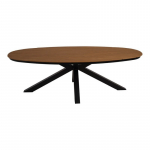 Lauko stalas AREZZO 240x110x74