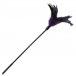 Pakutenimo plunksnos Tickler Violet