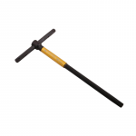 Raktas T TORX T60 su suktuku