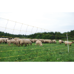 Tinklas avims dvigubas smigis 120cm/50m 14147