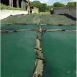 Apsauginis tinklas nuo pauk&scaron;čių 5x16m (200g/m2)