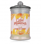 Accentra Cosy Moments žvakė, Vanilla, 230 g.