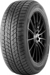 Padanga DOUBLESTAR 225/45 R18 XL (Žieminė) (Automobilio)