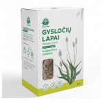 Gysločių lapai, žolelių arbata, kvėpavimo takams &ndash; &Scaron;venčionių vaistažolių fabrikas, 50 g