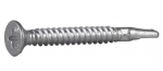 Gr, Sraigtas ESSVE "Wing"  CorrSeal 4,8x45 (250vnt,)