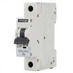 Automatinis jungiklis Standart 1P-B20A 20A
