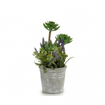 Dirbtinis augalas IBERGARDEN 20815 (10x10x25 cm)