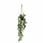 Kabanti gebenė 70cm