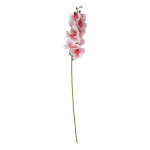Orchidėja GĖLĖ H94cm, &scaron;viesiai rožinė