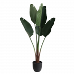 Kelioninis bananmedis 160cm