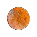 Sieninis &scaron;viestuvas CHAMALEON diskas, oranžinės spalvos, 14,5cm