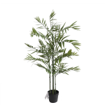 Palmė 120cm