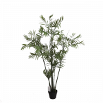 Palmė 150cm