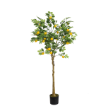Citrinmedis 170cm