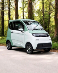 Elektrinis keturratis mini automobilis FL-08 1Kw 58AH 60v
