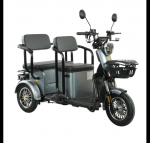 Elektrinis triratis RIDE-E MINGO (EEC)  (Pilka )