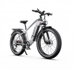 DUOTTS F26 Lite elektrinis dviratis (26")  (Raudona )