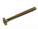Varžtas baldinis M 6 x 60 mm geltonai cinkuotas