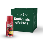 GREENIFY Detox After Party Booster (6 vnt. rinkinys)