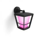 Philips Hue WCA Econic Outdoor Wall Lantern | 15W | 2000-6500 Kelvin Adjustable White Ambiance