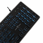 White Shark GK-003141 Tachi Black US