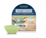 Yankee Candle Sage AND Citrus 22 g