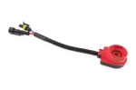 Amio Xenon Adapter HiD, type D2S D2R