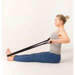Swedish Posture Mini Gym