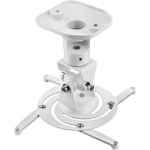 Techly Universal Projector Ceiling Mount, White ICA-PM 100WH