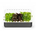 Click And Grow Smart Garden 9 Starter Kit with Automatic Watering and LED Plant LightsSelf-Watering Indoor Garden for Fresh Herbs