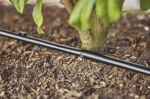 GARDENA 13504-20 garden hose, 50 m, below ground, black